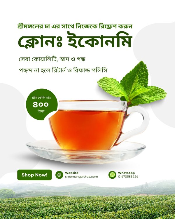 ক্লোন টিঃ ইকোনমি