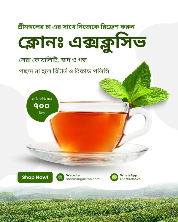 ক্লোন টিঃ এক্সক্লুসিভ